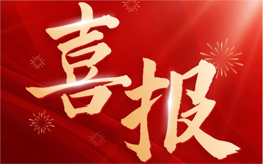 集團榮膺2025中國民營企業(yè)500強第249位，制造業(yè)民營企業(yè)500強第177位，排名較去年雙雙大幅提升